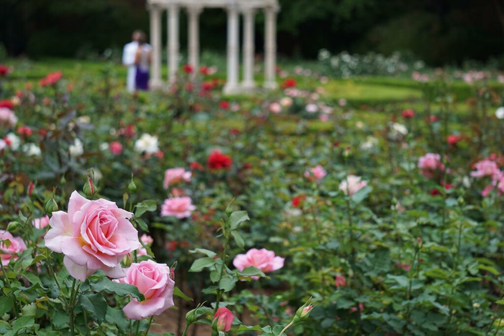 Parks Planten un Blomen Hamburg